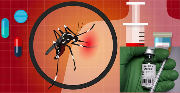 India is creating its own multi-stage malaria vaccine called AdFalciVax