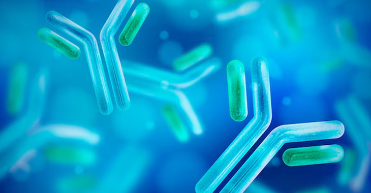 Researchers discover antibodies that can shield kids against fatal strep An infection