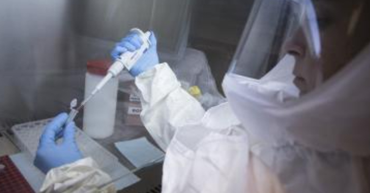 Chinese researchers discover a crucial Ebola virus mutation