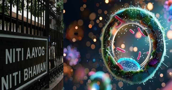 NITI Aayog warns food changes endanger gut health